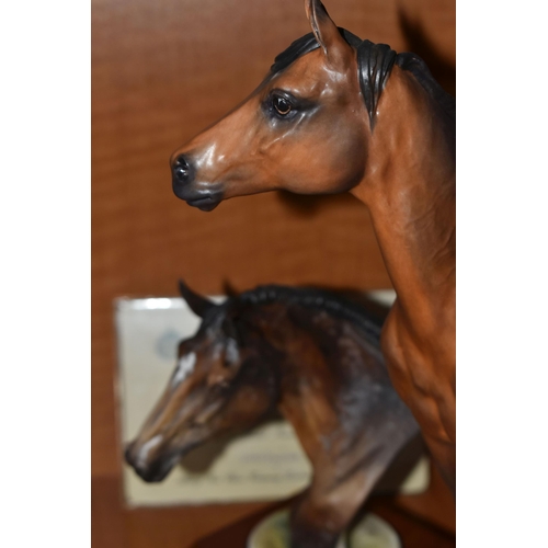 749 - AN ALBANY FINE CHINA LIMITED EDITION EQUESTRIAN FIGURE 'BRIGADIER GERARD', modelled by David Lovegro... 