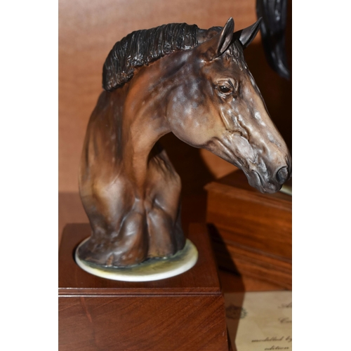 749 - AN ALBANY FINE CHINA LIMITED EDITION EQUESTRIAN FIGURE 'BRIGADIER GERARD', modelled by David Lovegro... 