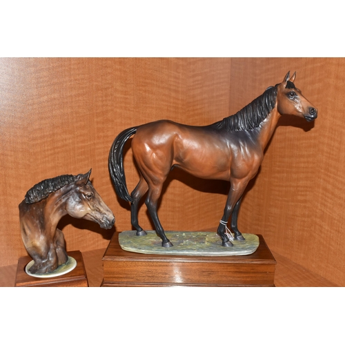 749 - AN ALBANY FINE CHINA LIMITED EDITION EQUESTRIAN FIGURE 'BRIGADIER GERARD', modelled by David Lovegro... 