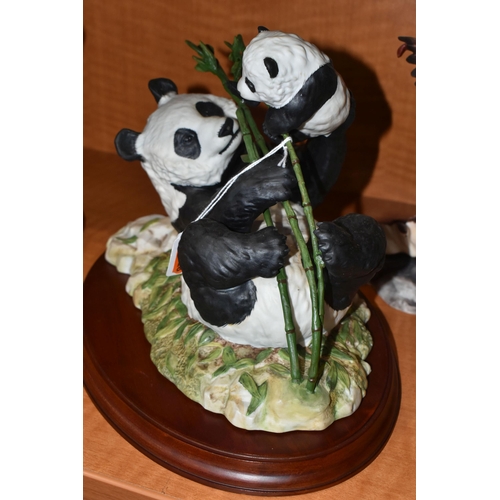 761 - FIVE FRANKLIN MINT FIGURES, comprising 'Spirit of the Sioux', with paperwork, 'Pride & Joy' (pandas)... 