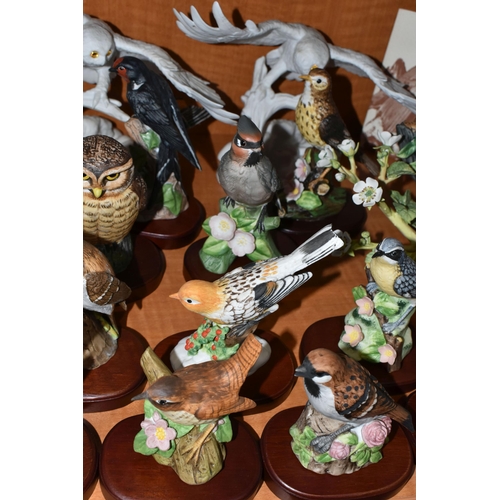 763 - A COLLECTION OF TWENTY FIVE BIRD FIGURES BY FRANKLIN MINT, KARL ENS, COALPORT, ETC, including RSPB m... 