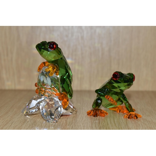 416 - A PAIR OF SWAROVSKI CRYSTAL PARADISE FROGS SCULPTURES, model no 5136807, in green, red and orange cr... 