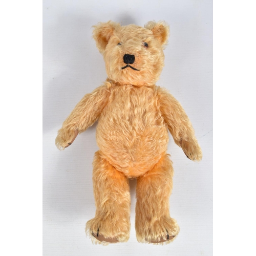 113 - A GOLDEN PLUSH TEDDY BEAR, amber and black plastic eyes, vertically stitched nose, jointed body, ori... 