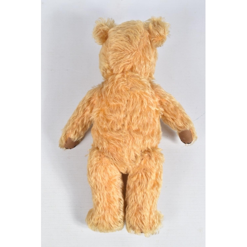 113 - A GOLDEN PLUSH TEDDY BEAR, amber and black plastic eyes, vertically stitched nose, jointed body, ori... 