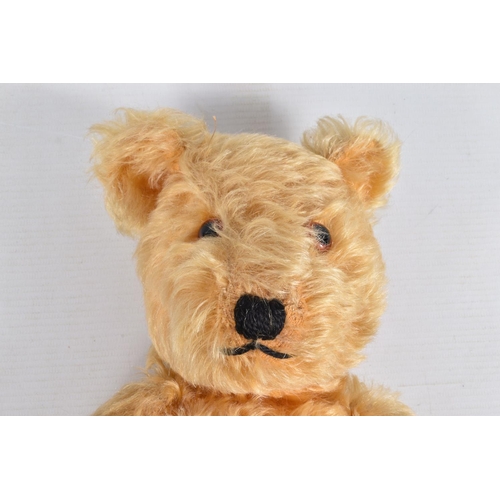 113 - A GOLDEN PLUSH TEDDY BEAR, amber and black plastic eyes, vertically stitched nose, jointed body, ori... 