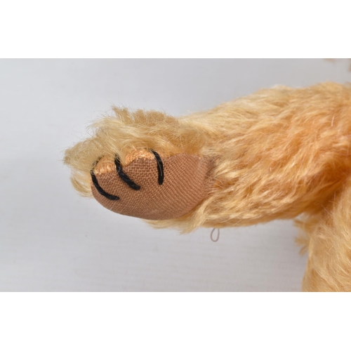 113 - A GOLDEN PLUSH TEDDY BEAR, amber and black plastic eyes, vertically stitched nose, jointed body, ori... 