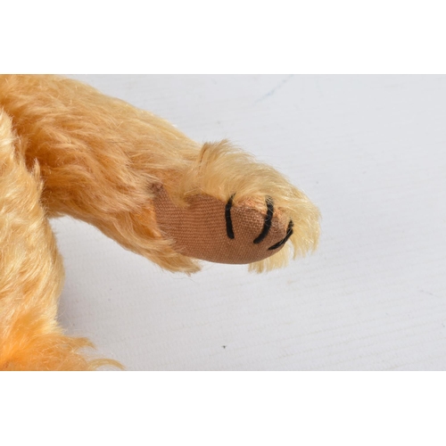 113 - A GOLDEN PLUSH TEDDY BEAR, amber and black plastic eyes, vertically stitched nose, jointed body, ori... 