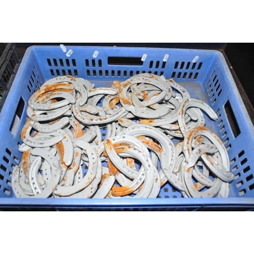 1076 - TWO TRAYS CONTAINING A QUANTITY OF HORSESHOES mostly painted