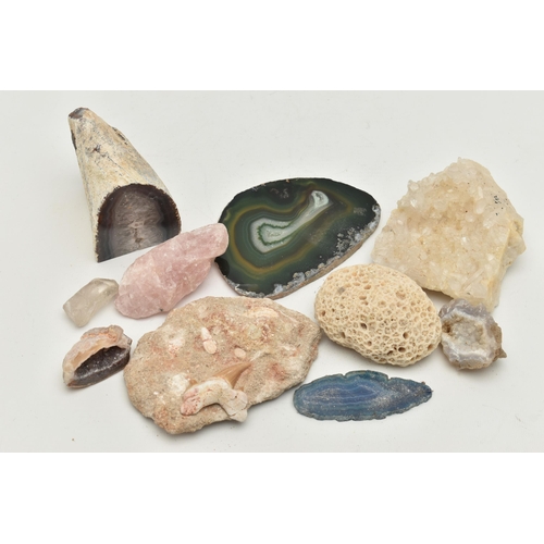 118 - ASSORTED MINERAL SPECIMENS, to include banded agate, quartz, rose quartz, coral and fossil