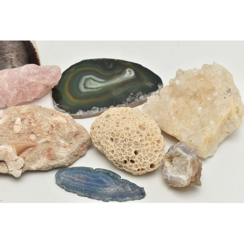 118 - ASSORTED MINERAL SPECIMENS, to include banded agate, quartz, rose quartz, coral and fossil