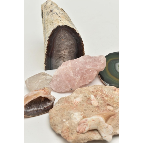 118 - ASSORTED MINERAL SPECIMENS, to include banded agate, quartz, rose quartz, coral and fossil