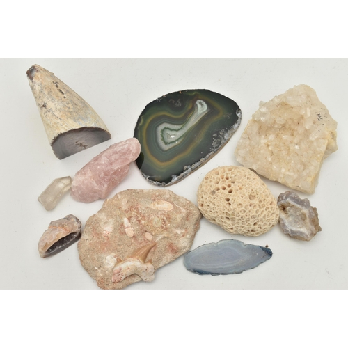 118 - ASSORTED MINERAL SPECIMENS, to include banded agate, quartz, rose quartz, coral and fossil