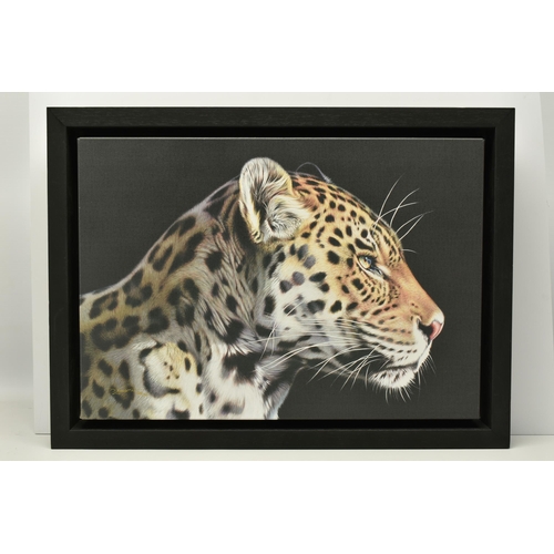 305 - DARRYN EGGLETON (SOUTH AFRICA 1981) 'THE WILD SIDE I', a signed limited edition print on canvas depi... 