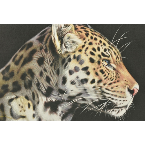 305 - DARRYN EGGLETON (SOUTH AFRICA 1981) 'THE WILD SIDE I', a signed limited edition print on canvas depi... 