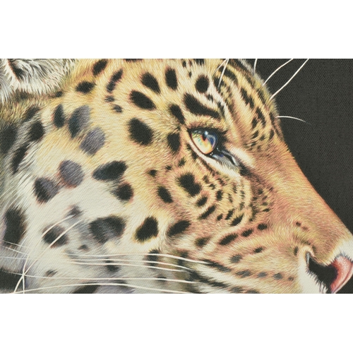 305 - DARRYN EGGLETON (SOUTH AFRICA 1981) 'THE WILD SIDE I', a signed limited edition print on canvas depi... 