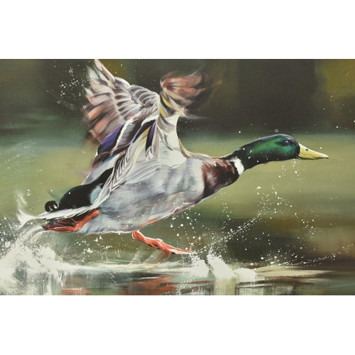 306 - DEBBIE BOON (BRITISH CONTEMPORARY) 'ON YOUR MARKS', a signed artist proof edition print on board, de... 