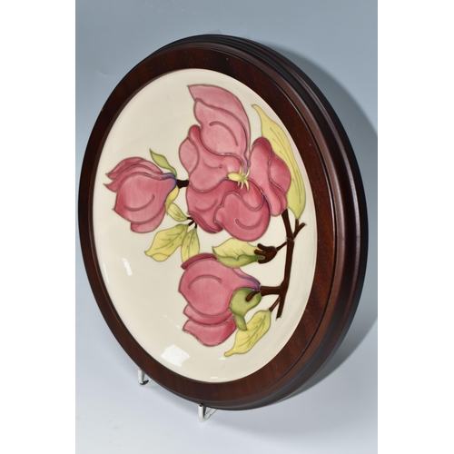 369 - A MOORCROFT POTTERY CHARGER DECORATED WITH A PINK MAGNOLIA ON A CREAM GROUND, mounted in a mahogany ... 