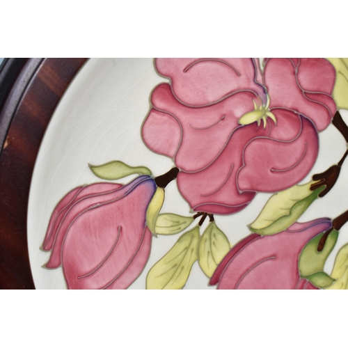 369 - A MOORCROFT POTTERY CHARGER DECORATED WITH A PINK MAGNOLIA ON A CREAM GROUND, mounted in a mahogany ... 