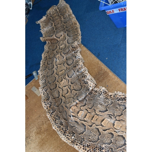 429 - A LARGE RETICULATED PYTHON SKIN, brown and cream colour, length 480cm (1) (Condition Report: signs o... 