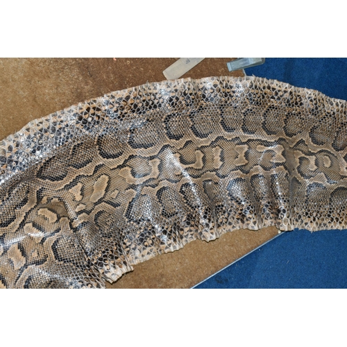 429 - A LARGE RETICULATED PYTHON SKIN, brown and cream colour, length 480cm (1) (Condition Report: signs o... 