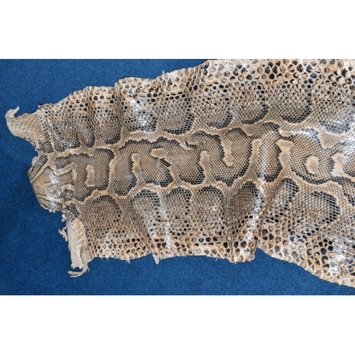 429 - A LARGE RETICULATED PYTHON SKIN, brown and cream colour, length 480cm (1) (Condition Report: signs o... 