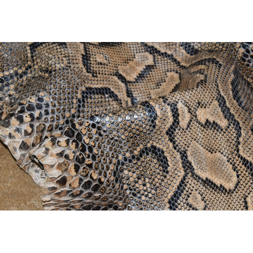 429 - A LARGE RETICULATED PYTHON SKIN, brown and cream colour, length 480cm (1) (Condition Report: signs o... 