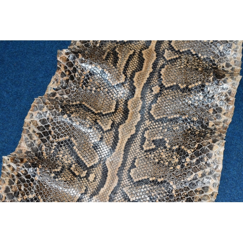 429 - A LARGE RETICULATED PYTHON SKIN, brown and cream colour, length 480cm (1) (Condition Report: signs o... 