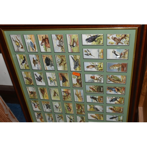 437 - ONE BOX & THREE FRAMED collections of Cigarette Cards in complete, part sets and odds together with ... 