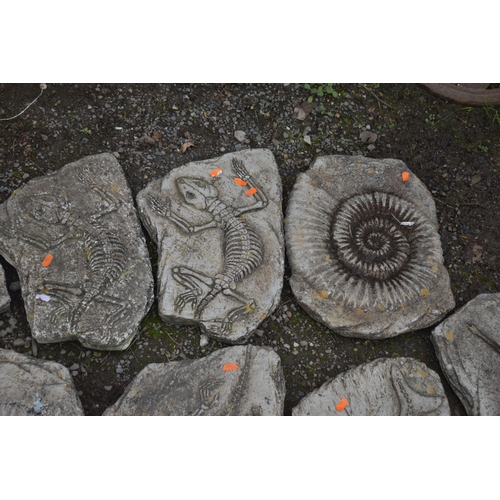 1003 - A SET OF TEN WEATHERED STEPPING STONES, that's all imprinted of various fossils (10)