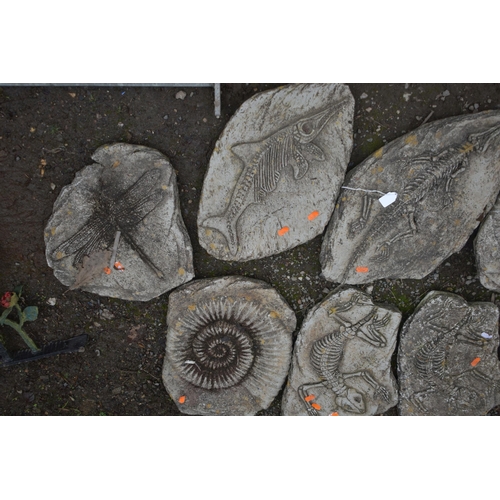 1003 - A SET OF TEN WEATHERED STEPPING STONES, that's all imprinted of various fossils (10)