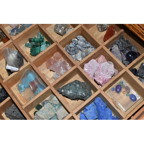 135 - A LARGE SIX DRAWER OAK CABINET WITH MINERAL SPECIMENS, approximate dimensions height 1065mm x depth ... 