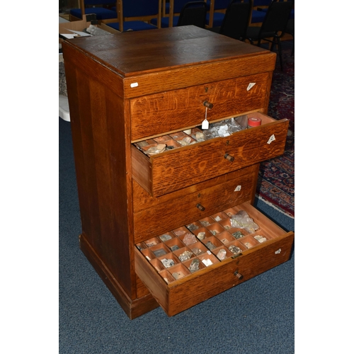 135 - A LARGE SIX DRAWER OAK CABINET WITH MINERAL SPECIMENS, approximate dimensions height 1065mm x depth ... 