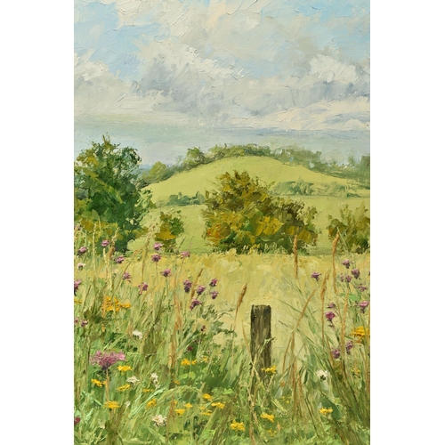 303 - BRIAN BENNETT (BRITISH 1927-2022) WILD FLOWERS IN AN ENGLISH LANDSCAPE, signed bottom left, signed v... 