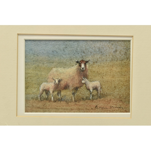 308 - BRIAN IRVING (1931-2013) 'EWE WITH TWINS', a depiction of sheep in a landscape setting, signed botto... 