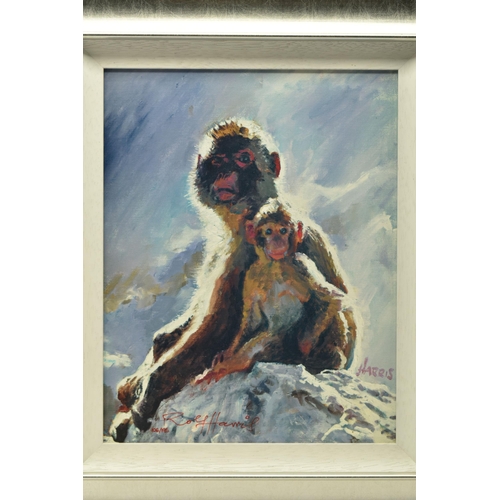 320 - ROLF HARRIS (AUSTRALIA 1930-2023) 'BACKLIT BABOONS - GIBRALTAR', a signed limited edition print on b... 