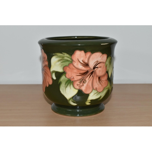 361 - A MOORCROFT POTTERY PLANTER, in the Coral Hibiscus pattern on a green ground, height 12.5cm x intern... 