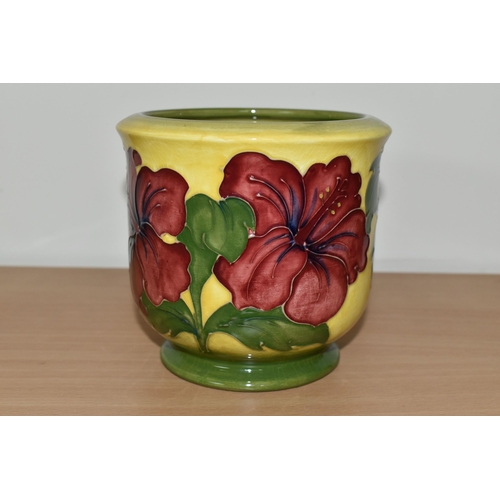 368 - A MOORCROFT POTTERY PLANTER, in the Hibiscus pattern on a graduated yellow to green ground, height 1... 