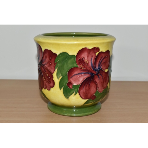 368 - A MOORCROFT POTTERY PLANTER, in the Hibiscus pattern on a graduated yellow to green ground, height 1... 