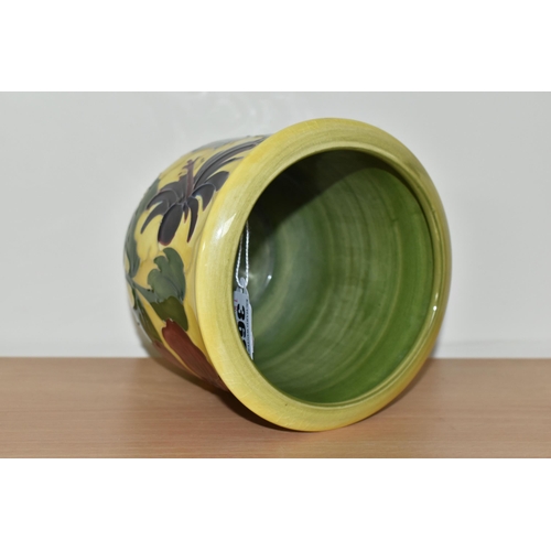 368 - A MOORCROFT POTTERY PLANTER, in the Hibiscus pattern on a graduated yellow to green ground, height 1... 