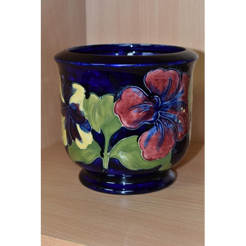 371 - A MOORCROFT POTTERY PLANTER, in the Hibiscus pattern on a dark blue ground, height 13cm x internal d... 