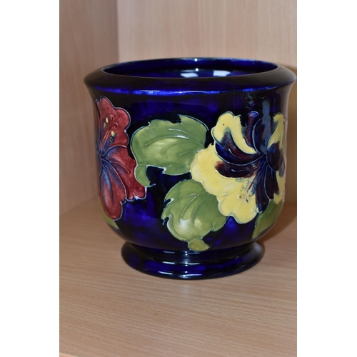 371 - A MOORCROFT POTTERY PLANTER, in the Hibiscus pattern on a dark blue ground, height 13cm x internal d... 