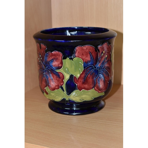 371 - A MOORCROFT POTTERY PLANTER, in the Hibiscus pattern on a dark blue ground, height 13cm x internal d... 