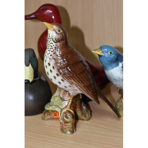 423 - TWO BESWICK BIRD SCULPTURES, a Cuckoo, model 2315 and a Song Thrush, model 2308, impressed marks to ... 