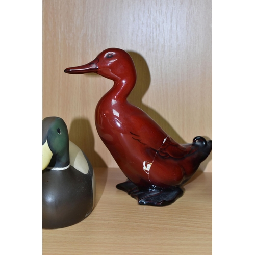 423 - TWO BESWICK BIRD SCULPTURES, a Cuckoo, model 2315 and a Song Thrush, model 2308, impressed marks to ... 