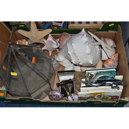 521 - FOUR BOXES AND LOOSE SEASHELLS, DUMB BELLS, DVDS, PLAYING CARDS, A WICKER BASKET, ETC, including a b... 