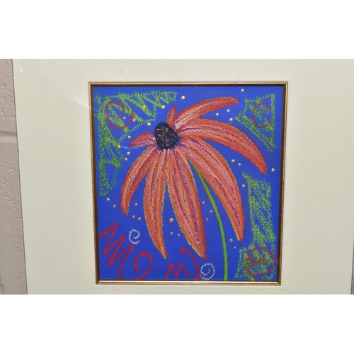 626 - KELLY JANE (BRITISH 1971) TWO PASTEL DRAWINGS OF FLOWERS, depicting a Sunflower and a Coneflower aga... 