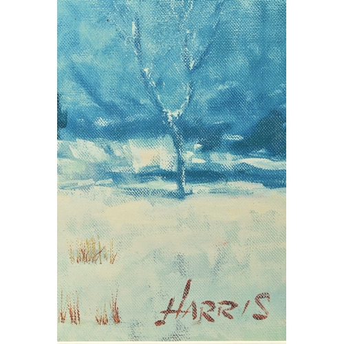 311 - ROLF HARRIS (AUSTRALIAN 1930-2013) 'SNOW ON MARSHY GROUND', a limited edition print on board 6/195, ... 