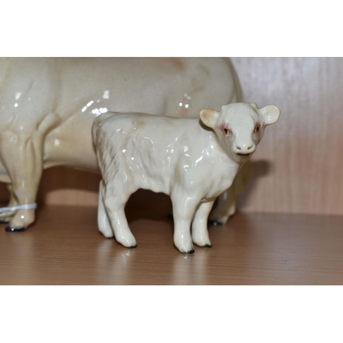 330 - A BESWICK CHAROLAIS BULL AND CALF, comprising Charolais bull model No. 2463A and calf model No.1827B... 