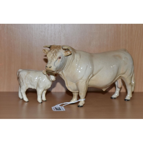 330 - A BESWICK CHAROLAIS BULL AND CALF, comprising Charolais bull model No. 2463A and calf model No.1827B... 