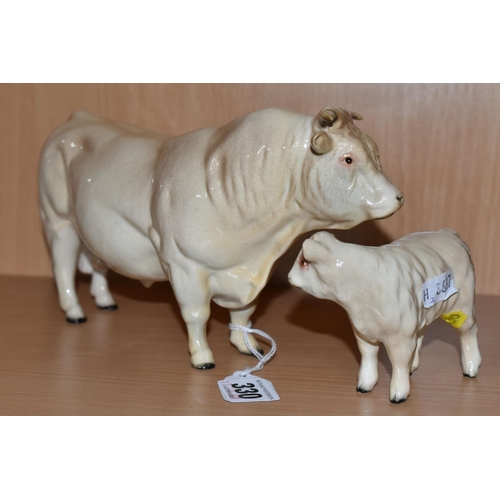 330 - A BESWICK CHAROLAIS BULL AND CALF, comprising Charolais bull model No. 2463A and calf model No.1827B... 